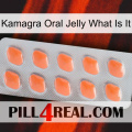 Kamagra Oral Jelly What Is It 26